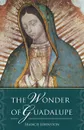 The Wonder of Guadalupe - Francis Johnston