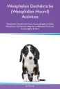 Westphalian Dachsbracke (Westphalian Hound) Activities Westphalian Dachsbracke Tricks, Games & Agility Includes. Westphalian Dachsbracke Beginner to Advanced Tricks, Fun Games, Agility & More - Ian Mackay