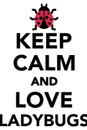Keep Calm Love Ladybugs Workbook of Affirmations Keep Calm Love Ladybugs Workbook of Affirmations. Bullet Journal, Food Diary, Recipe Notebook, Planner, To Do List, Scrapbook, Academic Notepad - Alan Haynes