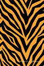 Tiger Skin Workbook of Affirmations Tiger Skin Workbook of Affirmations. Bullet Journal, Food Diary, Recipe Notebook, Planner, To Do List, Scrapbook, Academic Notepad - Alan Haynes