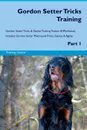 Gordon Setter Tricks Training Gordon Setter Tricks & Games Training Tracker & Workbook.  Includes. Gordon Setter Multi-Level Tricks, Games & Agility. Part 1 - Training Central