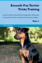 Smooth Fox Terrier Tricks Training Smooth Fox Terrier Tricks & Games Training Tracker & Workbook.  Includes. Smooth Fox Terrier Multi-Level Tricks, Games & Agility. Part 1 - Training Central