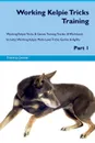 Working Kelpie Tricks Training Working Kelpie Tricks & Games Training Tracker & Workbook.  Includes. Working Kelpie Multi-Level Tricks, Games & Agility. Part 1 - Training Central