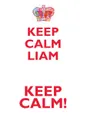 KEEP CALM LIAM! AFFIRMATIONS WORKBOOK Positive Affirmations Workbook Includes. Mentoring Questions, Guidance, Supporting You - Affirmations World