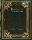 Galusha the Magnificent - Joseph C. Lincoln
