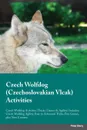 Czech Wolfdog Czechoslovakian Vlcak Activities Czech Wolfdog Activities (Tricks, Games & Agility) Includes. Czech Wolfdog Agility, Easy to Advanced Tricks, Fun Games, plus New Content - Ian Walker