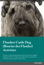 Flanders Cattle Dog Bouvier des Flandes Activities Flanders Cattle Dog Activities (Tricks, Games & Agility) Includes. Flanders Cattle Dog Agility, Easy to Advanced Tricks, Fun Games, plus New Content - Stewart Mitchell