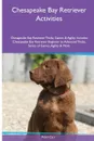 Chesapeake Bay Retriever  Activities Chesapeake Bay Retriever Tricks, Games & Agility. Includes. Chesapeake Bay Retriever Beginner to Advanced Tricks, Series of Games, Agility and More - Peter Carr