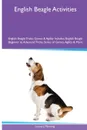 English Beagle  Activities English Beagle Tricks, Games & Agility. Includes. English Beagle Beginner to Advanced Tricks, Series of Games, Agility and More - Leonard Manning