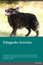 Schipperke Activities Schipperke Activities (Tricks, Games & Agility) Includes. Schipperke Agility, Easy to Advanced Tricks, Fun Games, plus New Content - Isaac Stewart