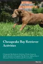 Chesapeake Bay Retriever Activities Chesapeake Bay Retriever Activities (Tricks, Games & Agility) Includes. Chesapeake Bay Retriever Agility, Easy to Advanced Tricks, Fun Games, plus New Content - Brian May