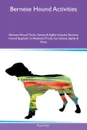 Bernese Hound Activities Bernese Hound Tricks, Games & Agility Includes. Bernese Hound Beginner to Advanced Tricks, Fun Games, Agility & More - Paul Smith