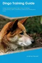 Dingo Training Guide Dingo Training Includes. Dingo Tricks, Socializing, Housetraining, Agility, Obedience, Behavioral Training and More - Ian Walker