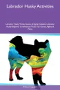 Labrador Husky Activities Labrador Husky Tricks, Games & Agility Includes. Labrador Husky Beginner to Advanced Tricks, Fun Games, Agility & More - William Ferguson