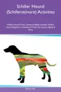 Schiller Hound (Schillerstovare) Activities Schiller Hound Tricks, Games & Agility Includes. Schiller Hound Beginner to Advanced Tricks, Fun Games, Agility & More - William Hill