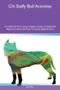 Chi Staffy Bull Activities Chi Staffy Bull Tricks, Games & Agility Includes. Chi Staffy Bull Beginner to Advanced Tricks, Fun Games, Agility & More - Paul Allan