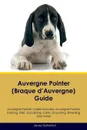 Auvergne Pointer (Braque d'Auvergne) Guide Auvergne Pointer Guide Includes. Auvergne Pointer Training, Diet, Socializing, Care, Grooming, Breeding and More - James Rutherford