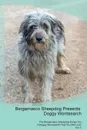 Bergamasco Sheepdog Presents. Doggy Wordsearch  The Bergamasco Sheepdog Brings You A Doggy Wordsearch That You Will Love! Vol. 5 - Doggy Puzzles