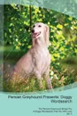 Persian Greyhound Presents. Doggy Wordsearch  The Persian Greyhound Brings You A Doggy Wordsearch That You Will Love! Vol. 5 - Doggy Puzzles