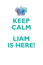 KEEP CALM, LIAM IS HERE AFFIRMATIONS WORKBOOK Positive Affirmations Workbook Includes. Mentoring Questions, Guidance, Supporting You - Affirmations World