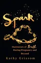 Spark. Statements of Truth During Pregnancy and Beyond - Kathy Grissom