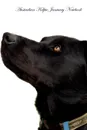 Australian Kelpie January Notebook  Australian Kelpie Record, Log, Diary, Special Memories, To Do List, Academic Notepad, Scrapbook & More - of Breeds Beauty
