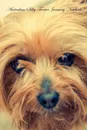Australian Silky Terrier January Notebook  Australian Silky Terrier Record, Log, Diary, Special Memories, To Do List, Academic Notepad, Scrapbook & More - of Breeds Beauty