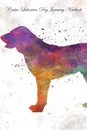Castro Laboreiro Dog January Notebook  Castro Laboreiro Dog Record, Log, Diary, Special Memories, To Do List, Academic Notepad, Scrapbook & More - of Breeds Beauty