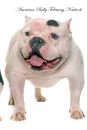 American Bully February Notebook  American Bully Record, Log, Diary, Special Memories, To Do List, Academic Notepad, Scrapbook & More - of Breeds Beauty