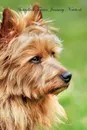 Australian Terrier January Notebook  Australian Terrier Record, Log, Diary, Special Memories, To Do List, Academic Notepad, Scrapbook & More - of Breeds Beauty