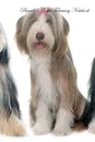 Bearded Collie February Notebook  Bearded Collie Record, Log, Diary, Special Memories, To Do List, Academic Notepad, Scrapbook & More - of Breeds Beauty