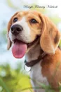 Beagle February Notebook  Beagle Record, Log, Diary, Special Memories, To Do List, Academic Notepad, Scrapbook & More - of Breeds Beauty
