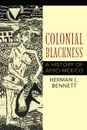 Colonial Blackness. A History of Afro-Mexico - Herman L Bennett