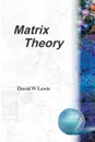 MATRIX THEORY - David W Lewis