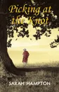 Picking at the Knot - Sarah Hampton