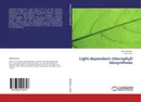 Light-dependent chlorophyll biosynthesis - Olga Belyaeva and Felix Litvin