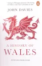 A History of Wales - DAVIES JOHN
