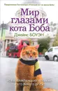 Мир глазами кота Боба. Новые приключения человека и его рыжего друга - Джеймс Боуэн