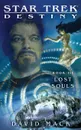 Star Trek. Destiny #3: Lost Souls - David Mack