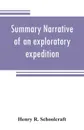 Summary narrative of an exploratory expedition to the sources of the Mississippi River, in 1820. resumed and completed, by the discovery of its origin in Itasca Lake, in 1832. By authority of the United States. With appendices, comprising by the D... - Henry R. Schoolcraft