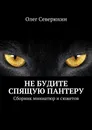 Не будите спящую пантеру - Олег Северюхин