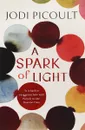 A Spark of Light - Jodi Picoult