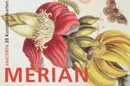 Postkartenbuch Maria Sibylla Merian - Merian Maria Sibylla