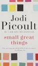 Small Great Things Exp - Пиколт Джоди