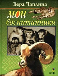 Обложка книги Мои воспитанники, Вера Чаплина