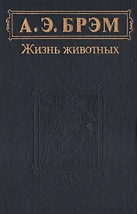 Обложка книги А. Э. Брэм. Жизнь животных. В трех томах. Том 2. Птицы, Брем Альфред Эдмунд