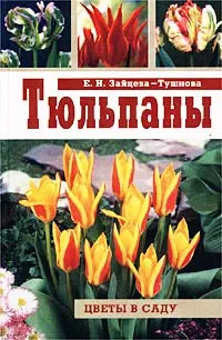 Обложка книги Тюльпаны, Зайцева-Тушнова Евгения Николаевна