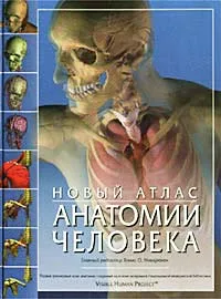 Обложка книги Новый атлас анатомии человека, Под редакцией Томаса Маккрекена, Ричарда Уолкера