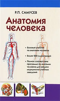 Обложка книги Анатомия человека, Р. П. Самусев