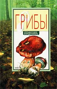 Обложка книги Грибы. Справочник-определитель, И. Н. Морозова